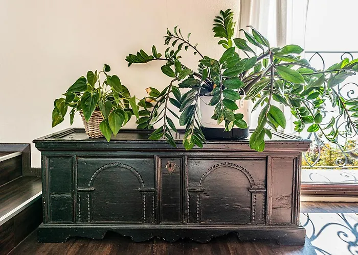 Casa Luna - Wonderful View * Brione sopra Minusio